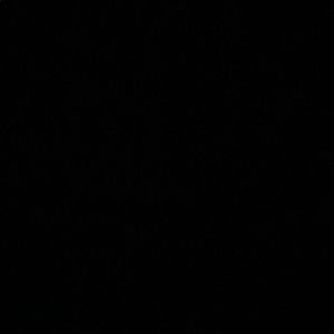 Meet your Posher, Dimitri